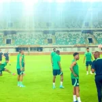 Equal Opportunity for Local and Foreign Players in Super Eagles Squad