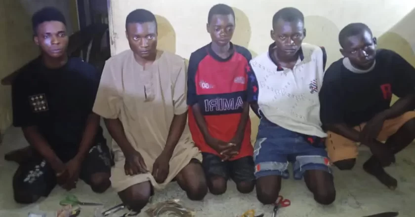 Five Individuals Apprehended by Police for Engaging in Thuggery and Robbery in Niger