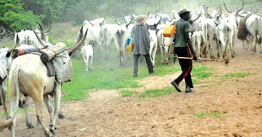Tragedy Strikes Ajokpachi Odo Community in Kogi as Suspected Herdsmen Kill Three
