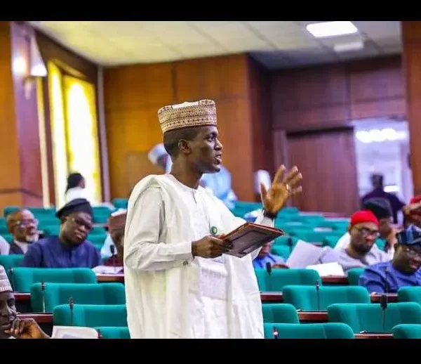 Statement from Bauchi Legislator Advocating for Suspension of National Cybersecurity Levy in House of Representatives