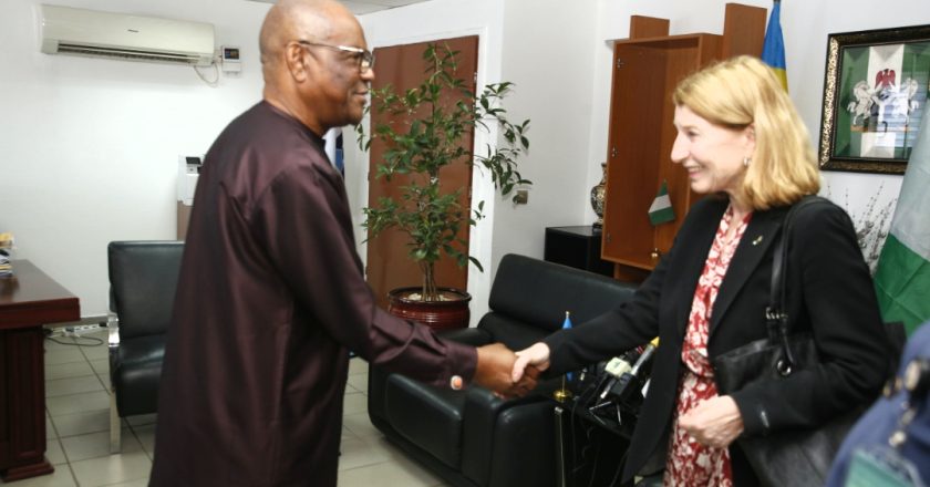 Nyesom Wike Seeks Partnership with Rwanda and Sweden to Develop FCT