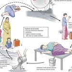 Ways to Protect Against Cholera