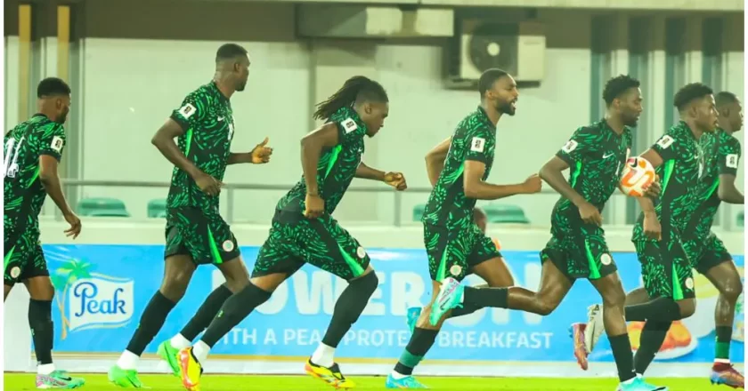 Plans to recruit a foreign technical assistant for Super Eagles, says NFF