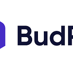 BudPay to boost African payment system