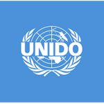 UNIDO, WTO to mobilise $12bn for Africa’s cotton-producing countries