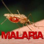 FG sets advisory board, ministerial taskforce on malaria elimination
