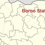 Borno suicide bomber begged for alms before detonating bomb