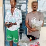 Police nab two for drug trafficking in Imo