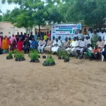 Encouragement for Youth to Lead Tree Planting for Environmental Conservation