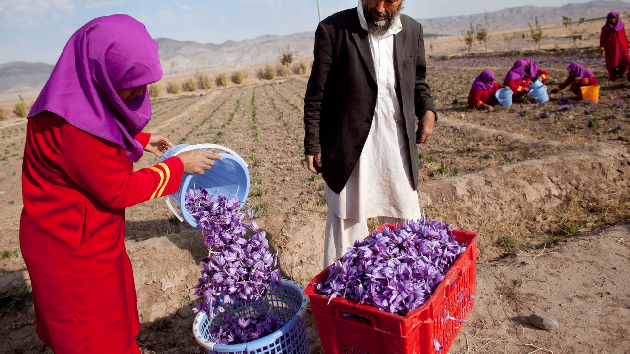 These are the foods that Iran exports and that will increase in price the most in supermarkets