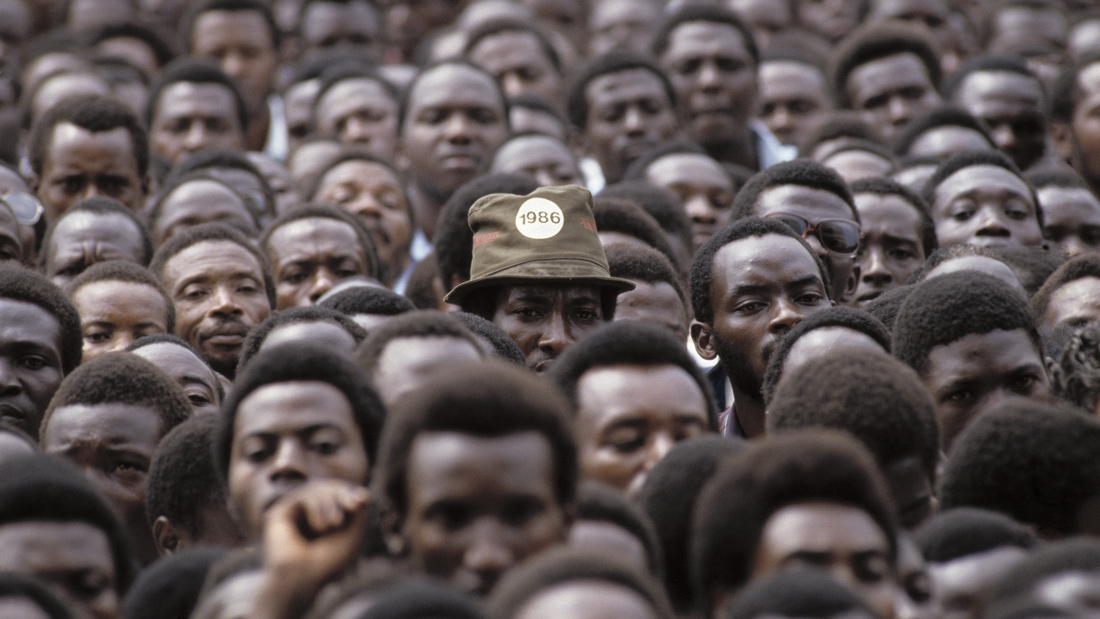 Under the shadow of mustard