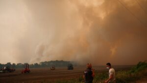 The fires in France leave record numbers and an unprecedented crisis: 220,000 people evacuated and 42,000 hectares burned